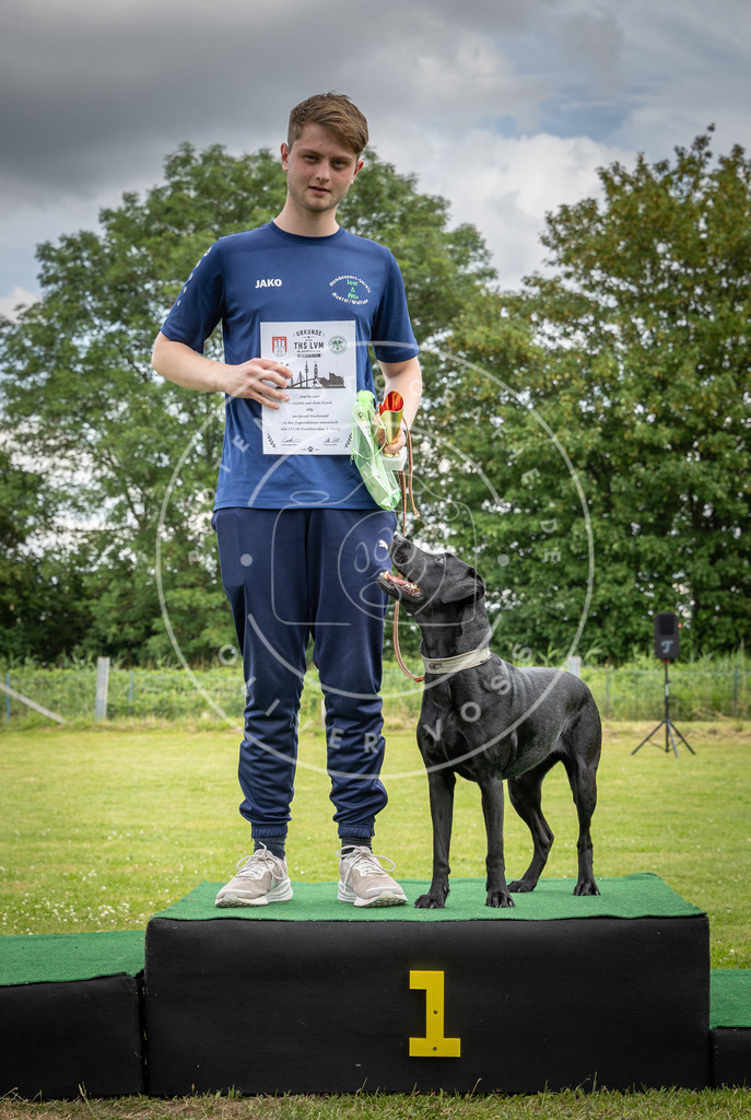 Pfotenfotografie_0L8A4239 | Hundefotografie, Tierfotograf, Pfotenfotografie, Fotoshooting Hund, Hunde Portrait, Hundesport, Hundeportraits, Heideshooting, Hunde, Sportfotograf, Hundefotograf, Turnierhundsport, THS,  - Realisiert mit Pictrs.com