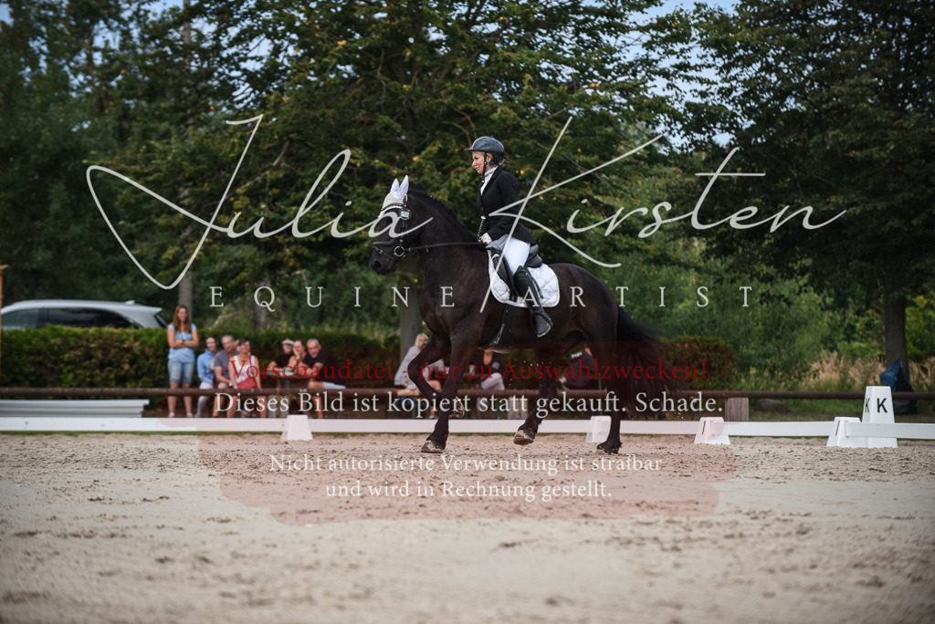 DSC_8633 | Pferde- und Turnierfotografie in Westsachsen. Pferdeportraits, Auftragszeichnungen und intuitive Kunst.