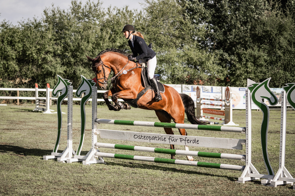 Punkte A__-7 | Kristin Schumacher Photography