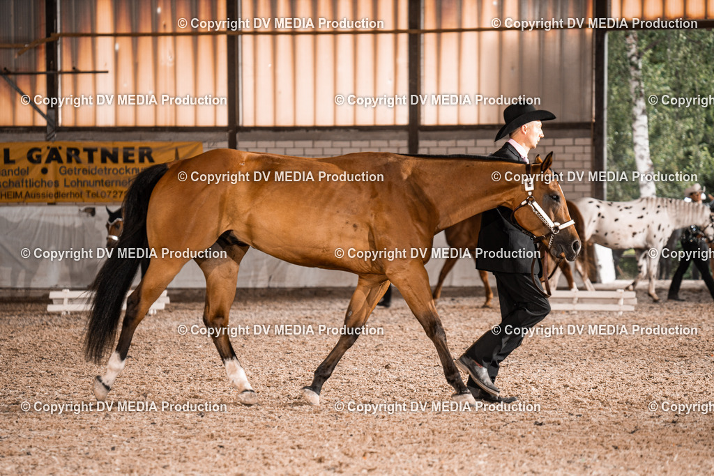 ZH200114 | dv-media-shop - Realisiert mit Pictrs.com