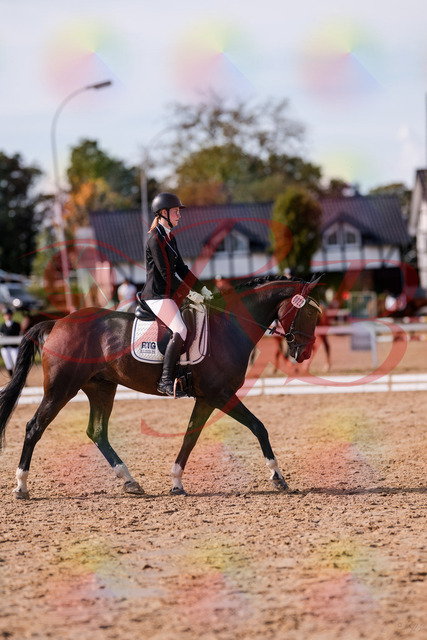 2026_10_03_Siefer-Hof_132235_Z81_72149355 | Professionelle Reitsport-, Turnier- und Eventfotografie von Robert Broda. Galerien mit ausgewählten und bearbeiteten Bildern direkt online ansehen und bestellen.