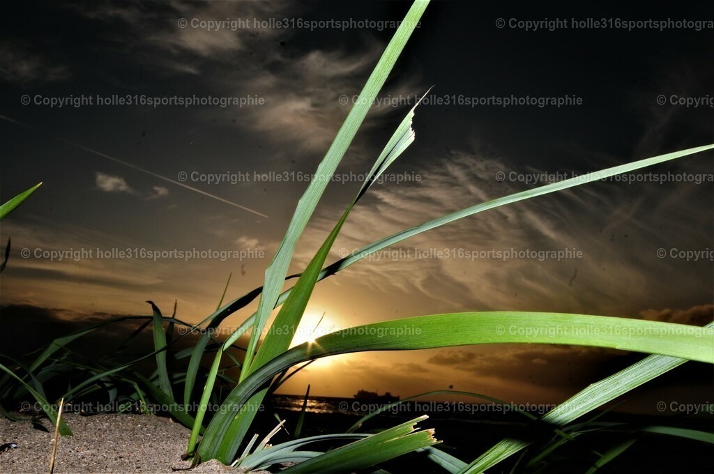 DSC_3966 (2) | Sportfotografie , Motorsport, Motoross, Reitsport, Mointainbike, Enduro,
Landschaft , Outdoor, Eventfotografie, Landschaft, Bilder online bestellen - Realisiert mit Pictrs.com