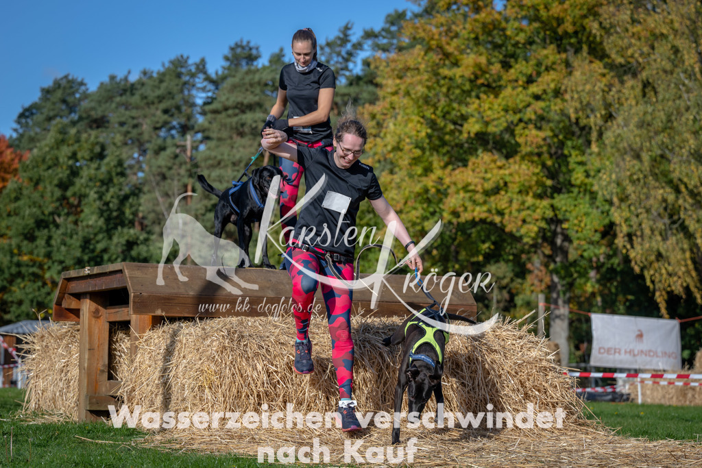 1052_ZZ91920 | kk-dogfotos