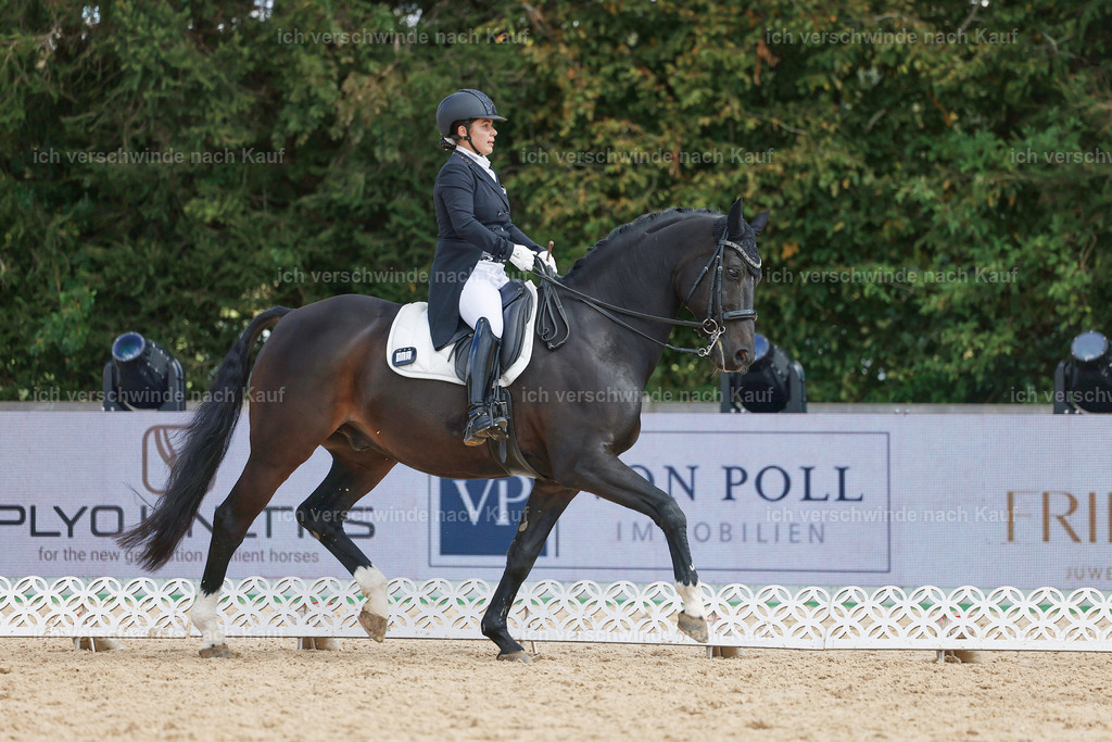 09_2-183-DRESSUR  S_  -StoibPH-5889 | working equitationturnier fotograf videograf stoibphotography marixx film working equitation deutschland reitsport turnierfotografie eventfotografie equestrian events