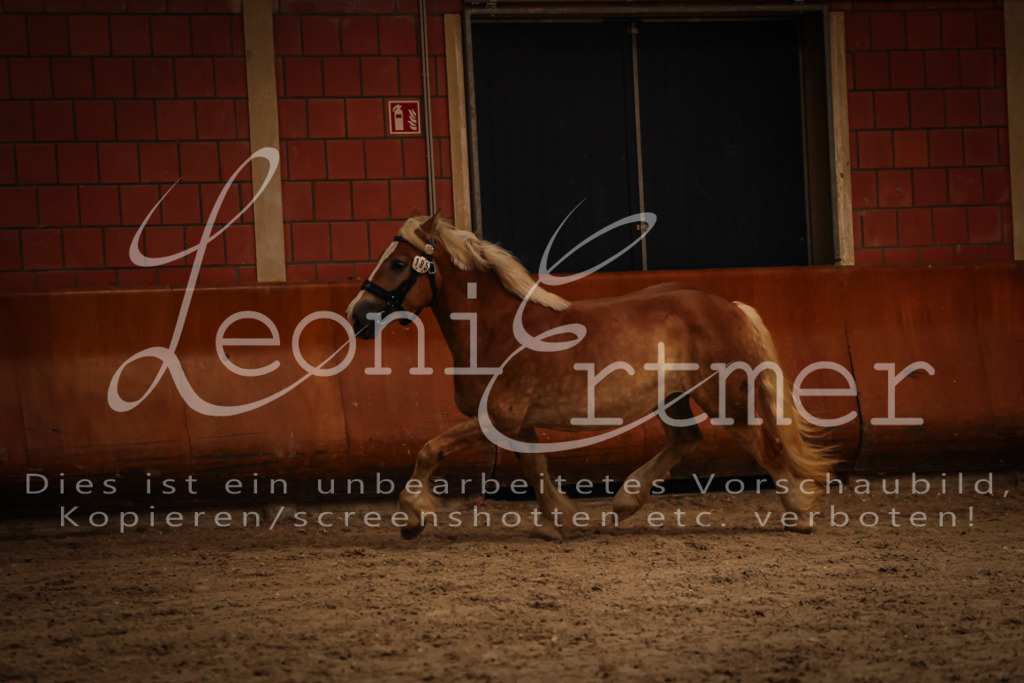 SaFL00126 | Leoni Ertmer Photography - Realisiert mit Pictrs.com