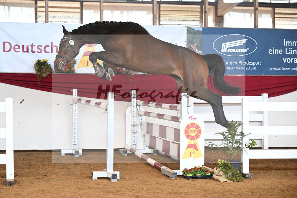 Kat-Nr. 18 Cordessa v. Cordess_Volkert_16250922 | hf-fotografie - Realisiert mit Pictrs.com