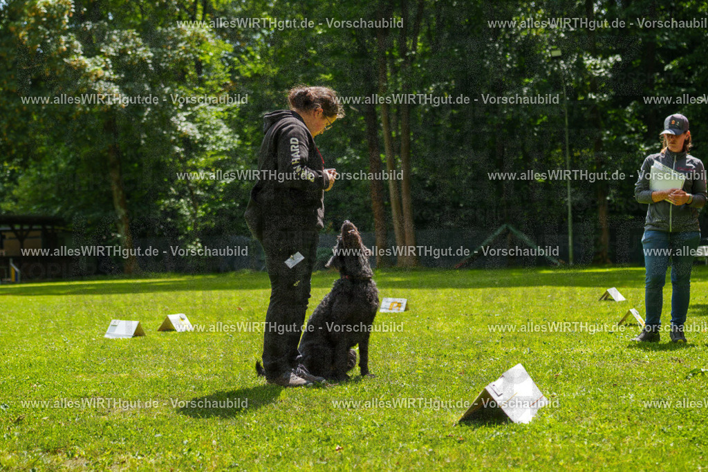@allesWIRTHgut_Tierfotografie - www.allesWIRTHgut.de - 7R505330 | Professionelle Tierfotografie in Mönchengladbach von Daniel Wirth (allesWIRTHgut). Liebevolle & natürliche Bilder von Hunden & Katzen für unvergessliche Erinnerungen.