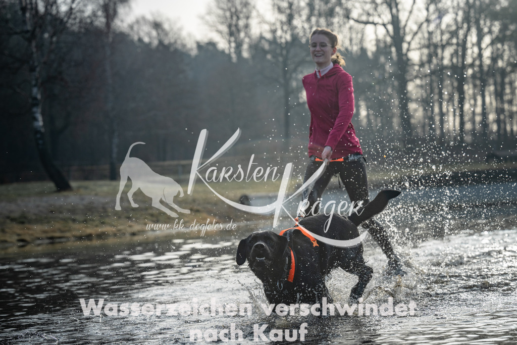 0832_ZZ97350 | kk-dogfotos