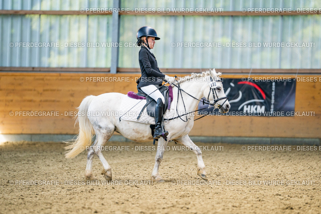 DSC03213 | Pferdegrafie