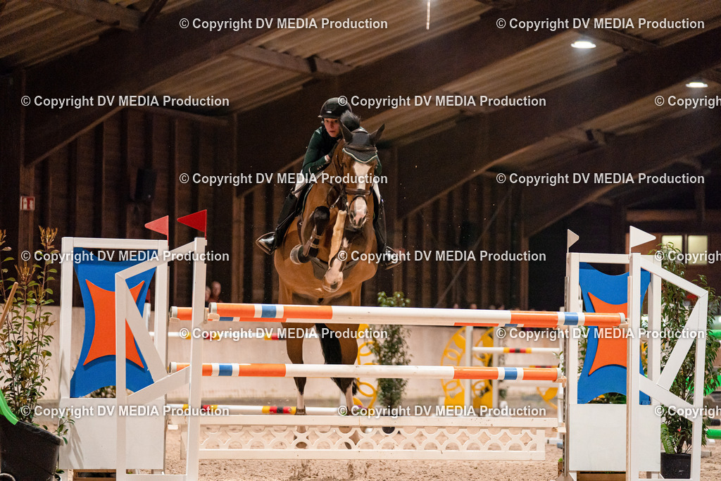 Springen Tag 2-946 | dv-media-shop - Realisiert mit Pictrs.com