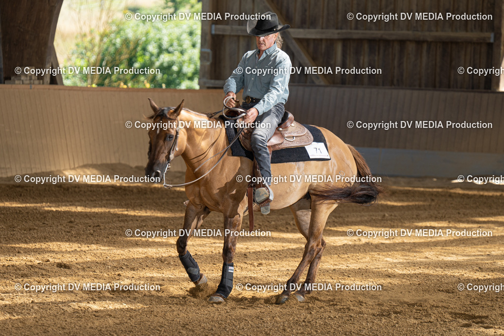 DSC00239 | dv-media-shop - Realisiert mit Pictrs.com