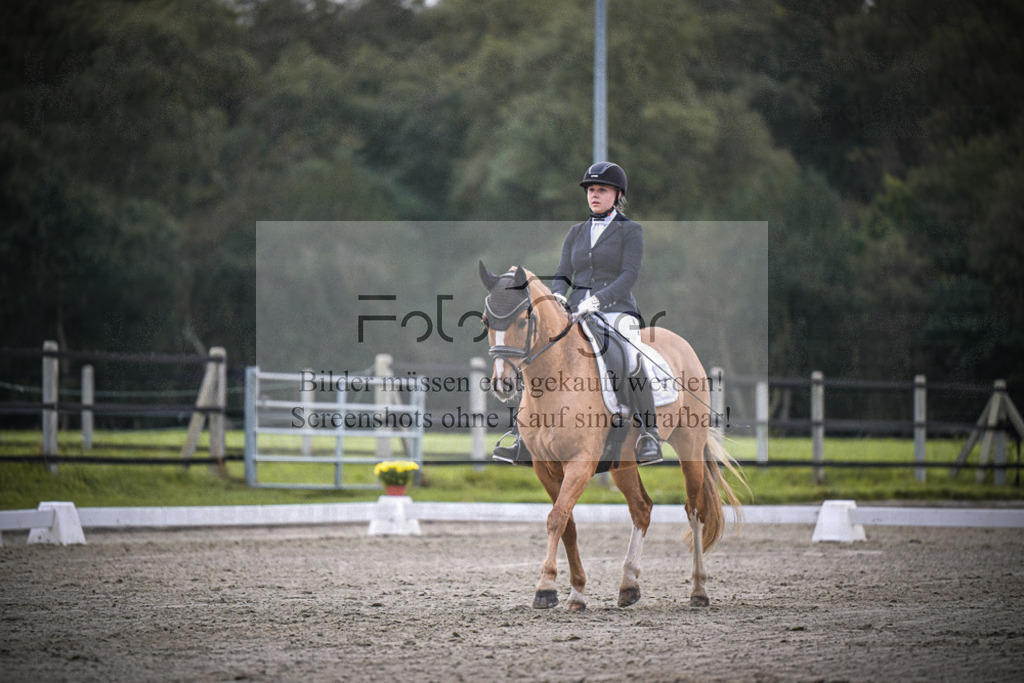 DOS_2000 | Entdecke hochwertige Reitturnierfotos von Foto Oger. Professionell, emotional und authentisch – jetzt Lieblingsmomente im Shop bestellen.Deutschlandweite Turnierfotografie. - Realisiert mit Pictrs.com