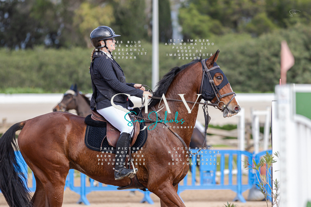 IMG_2955 | s-jay-photography - Realisiert mit Pictrs.com