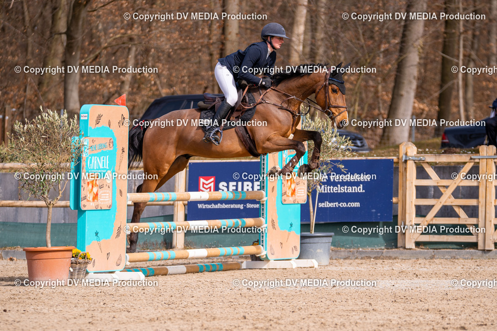 Kranichstein Tag 1-480 | dv-media-shop - Realisiert mit Pictrs.com