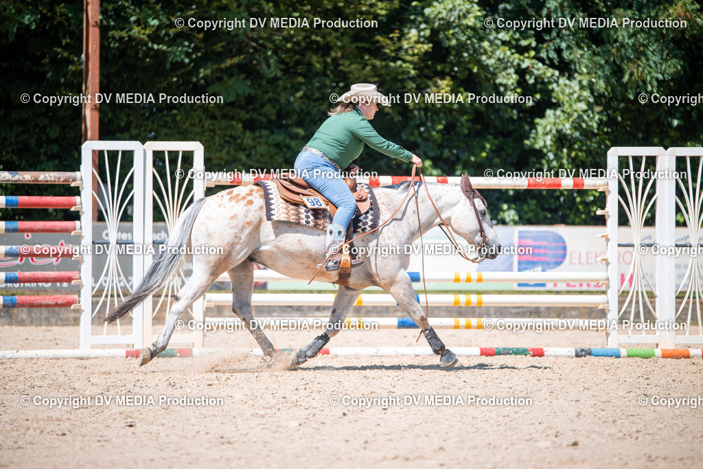 ZS1_1470 | dv-media-shop - Realisiert mit Pictrs.com