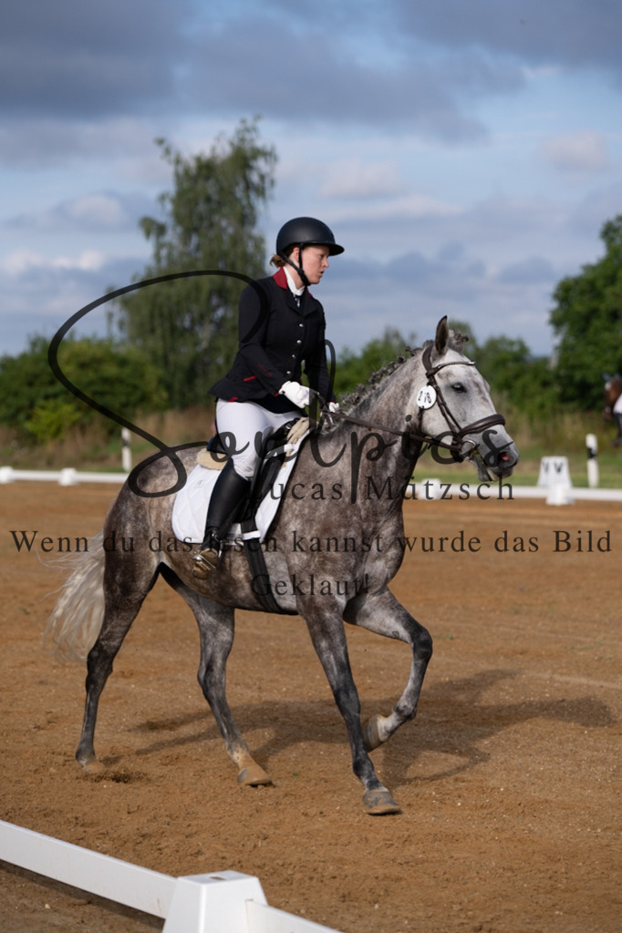 A7V03752 | Turnier/Reitfotograf