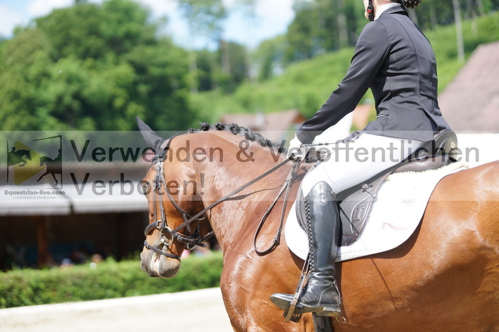 DSC05078 | equestrian-live-com