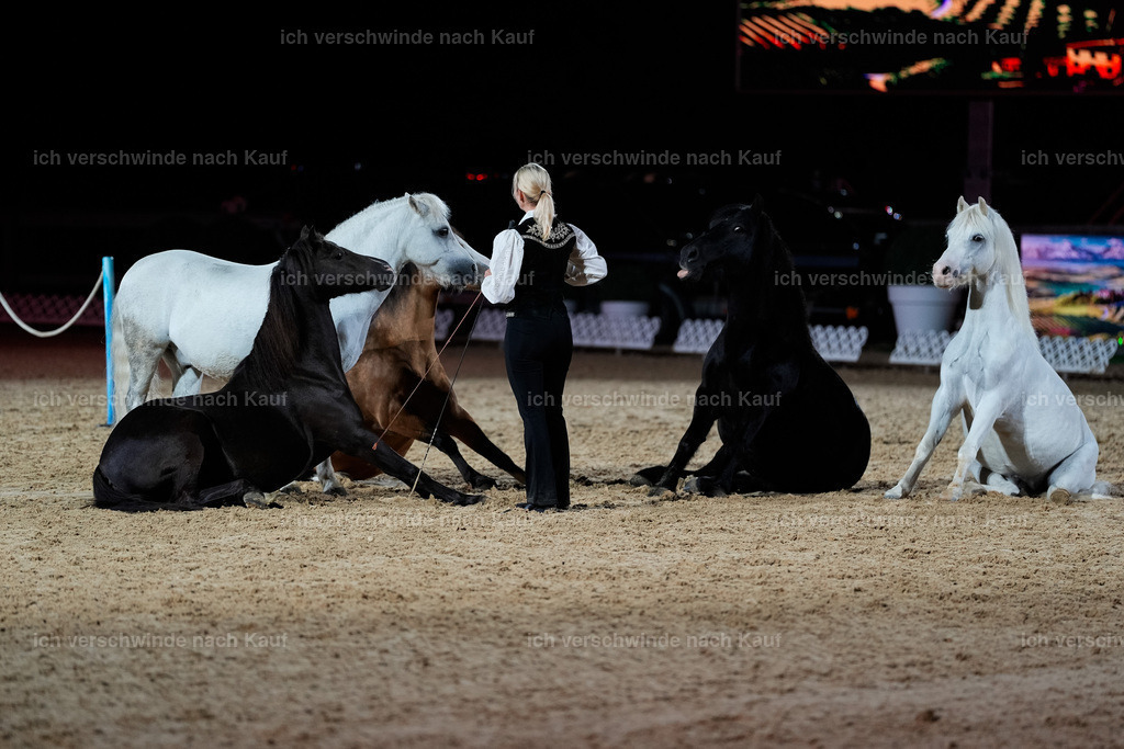 FHClassics-260 | working equitationturnier fotograf videograf stoibphotography marixx film working equitation deutschland reitsport turnierfotografie eventfotografie equestrian events