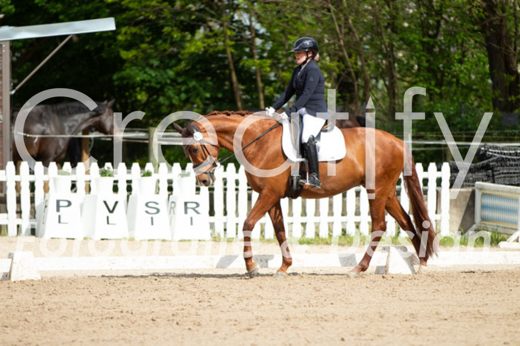 IMG_4191 | Creatify Fotografie