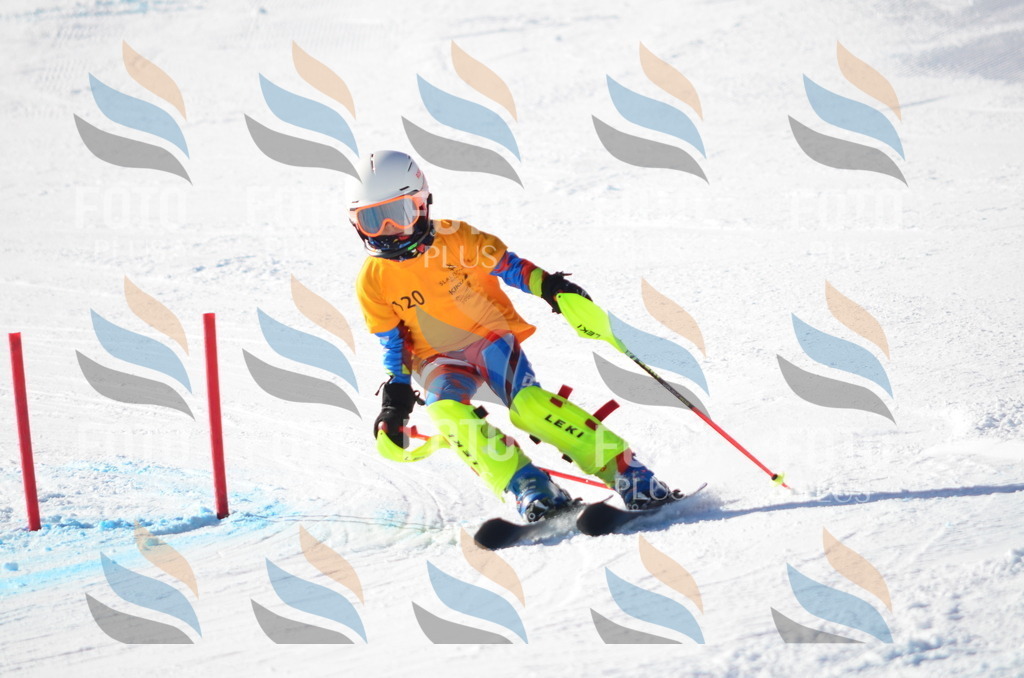 C6352 | holidayphoto