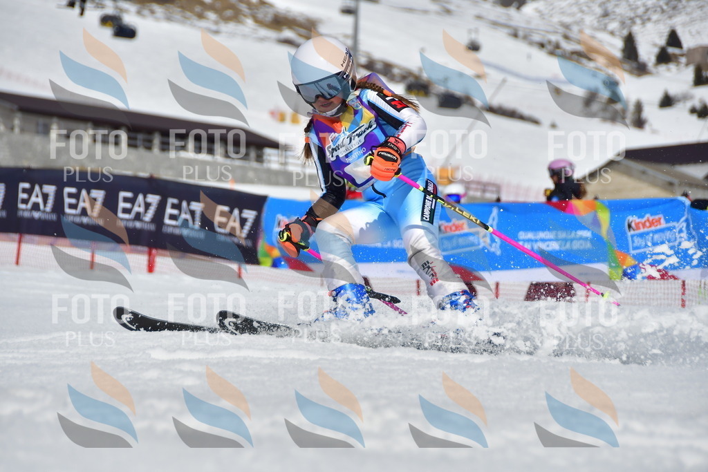 _DSC7685 | holidayphoto