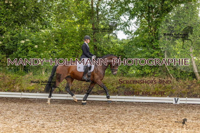 RPF 4 Filsum (522 von 535) | mandyhollmannphotographie