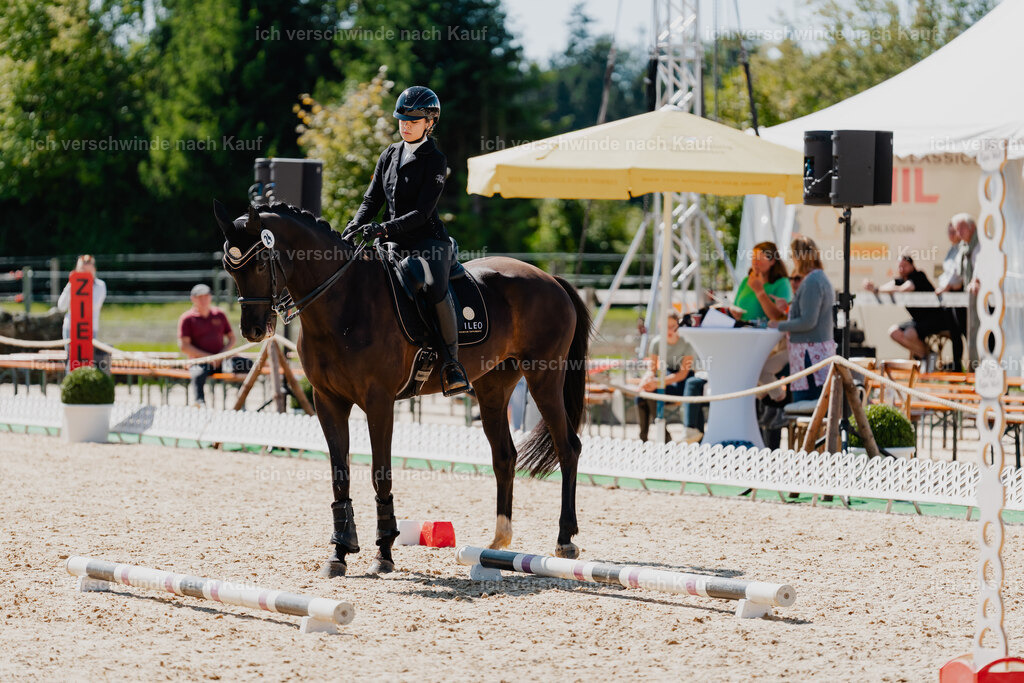 Leonie24_FHC2025-38 | working equitationturnier fotograf videograf stoibphotography marixx film working equitation deutschland reitsport turnierfotografie eventfotografie equestrian events