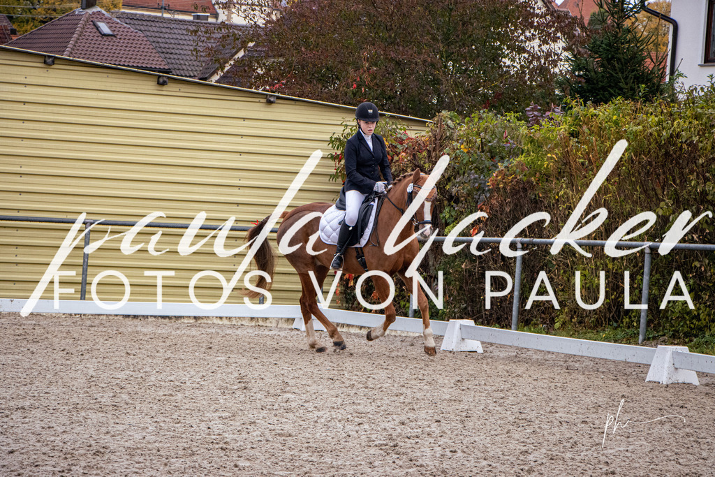 IMG_6684 | Erleben Sie dynamische Sport- und emotionale Tierfotografie in Süddeutschland mit Fotos von Paula. Spezialisiert auf Pferde- und Hundefotografie sowie Sportevents. Kontaktieren Sie mich für einzigartige und ausdrucksstarke Bilder Ihrer besonderen Momente. - Realisiert mit Pictrs.com