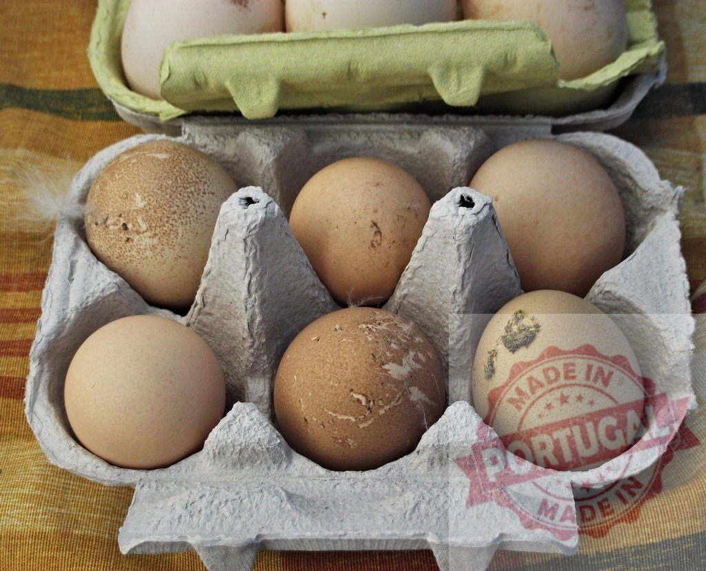 Fresh free range chicken eggs in carton | Unwashed chicken eggs with feathers and dirt from a farm - Realized with Pictrs.com