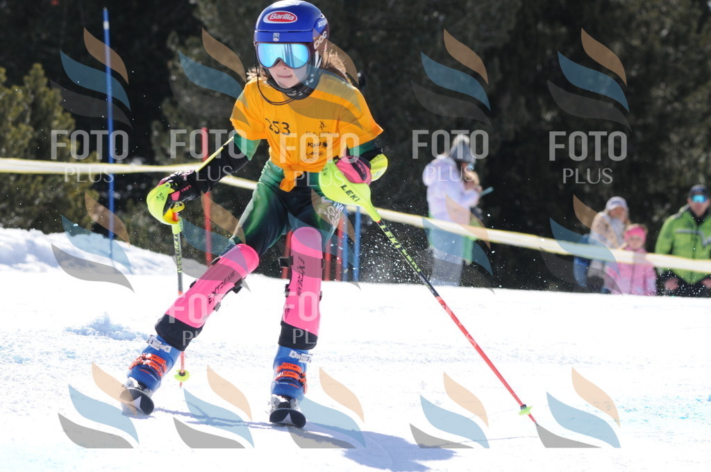 C8868 | holidayphoto