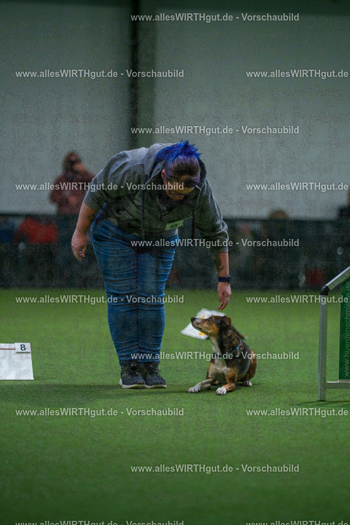 7R503804 | Professionelle Tierfotografie in Mönchengladbach von Daniel Wirth (allesWIRTHgut). Liebevolle & natürliche Bilder von Hunden & Katzen für unvergessliche Erinnerungen.