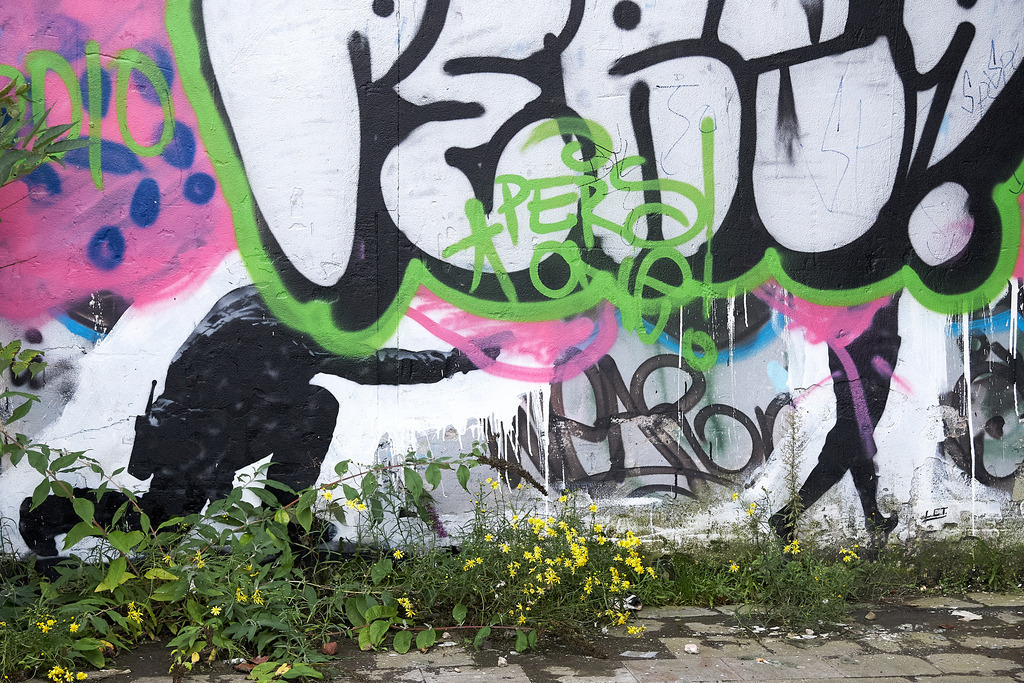 Tristesse und Kreativität in Düsseldorf 2 | Ich erzähle Geschichten als Autor und als Fotograf. Hier finden Sie hochwertige Naturfotografie, Reisefotografien und Bilder aus dem urbanen Lebensraum.  - Realisiert mit Pictrs.com