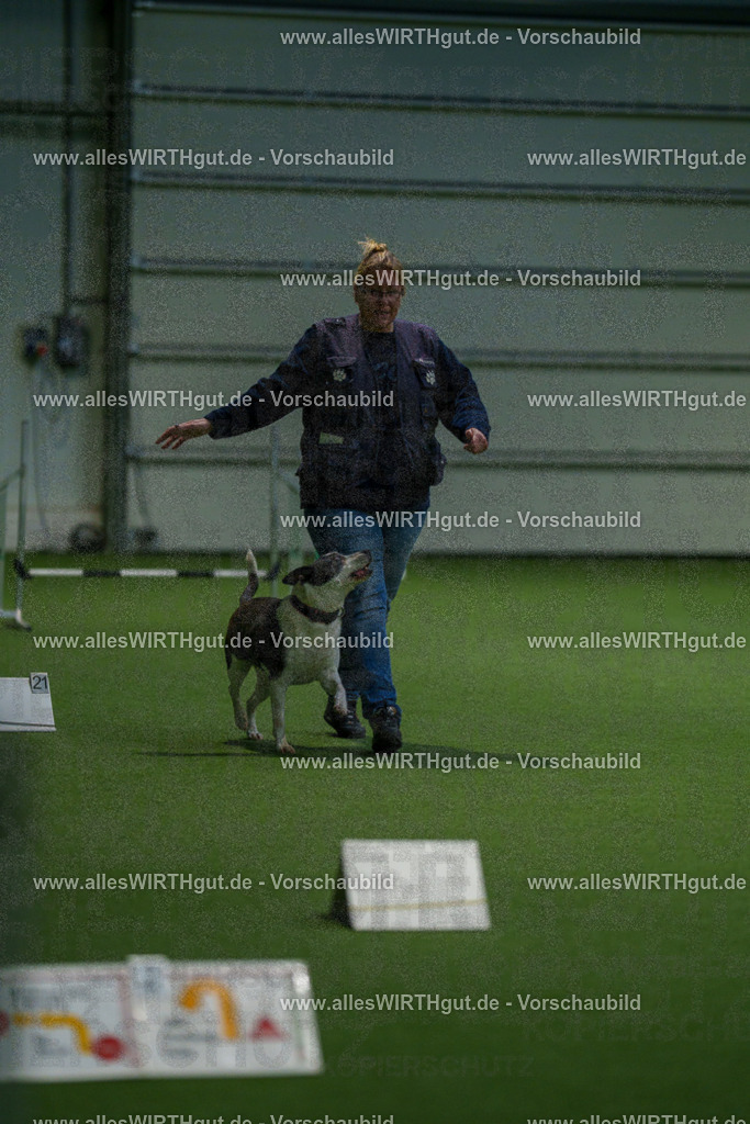 7R504764 | Professionelle Tierfotografie in Mönchengladbach von Daniel Wirth (allesWIRTHgut). Liebevolle & natürliche Bilder von Hunden & Katzen für unvergessliche Erinnerungen.