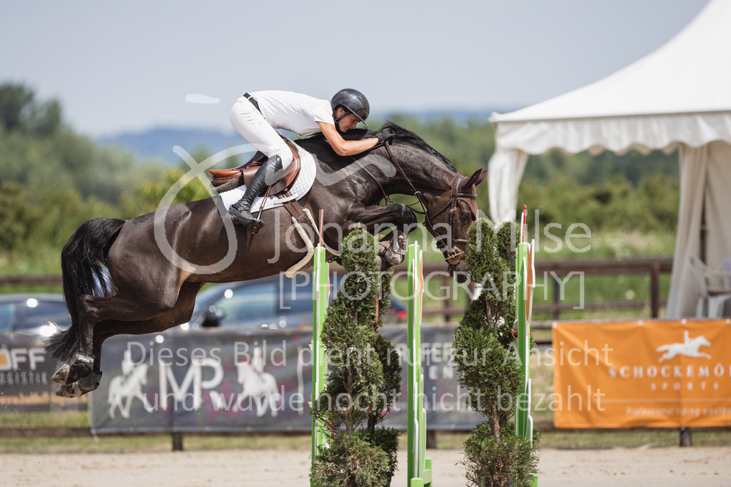 230624_PfSpTa_M2-Spr-903 | Deine schönsten Turniermomente als professionelle Fotos! Entdecke hochwertige Pferdesport-Fotografie im Online-Shop. Jetzt Fotos finden & bestellen!