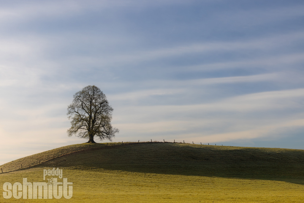 PS-Natur-2026-149 | Entdecke die größte Bildgalerie der Region mit Fotografien aus dem Allgäu, der Bodenseeregion, Oberschwaben, dem Donautal und der Schwäbischen Alb. Landschaften, Luftaufnahmen und Reisefotografie als Wandbild und Fotokunst. - Realisiert mit Pictrs.com