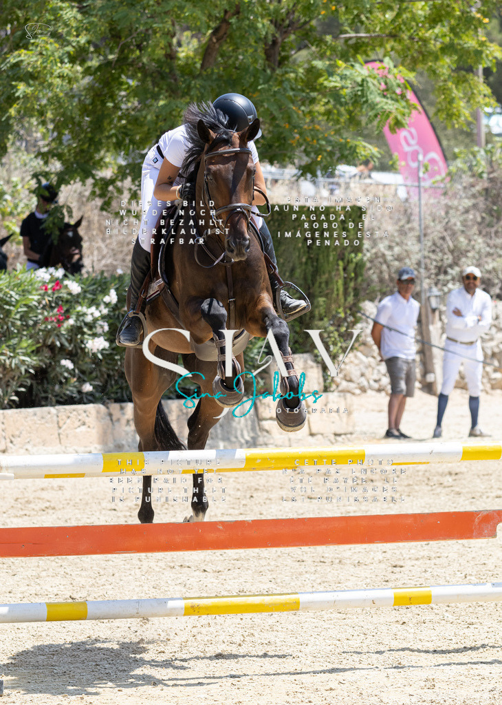 IMG_7490 | s-jay-photography - Realisiert mit Pictrs.com