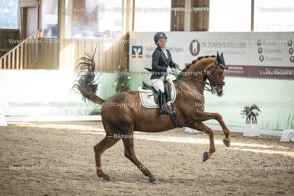 _D5A3130 | Emotionale Pferde- & People-Fotografie rund um Heidelberg, Leimen & Umgebung. Natürliche Fotos von Pferd, Mensch & Familie. Jetzt Termin sichern!