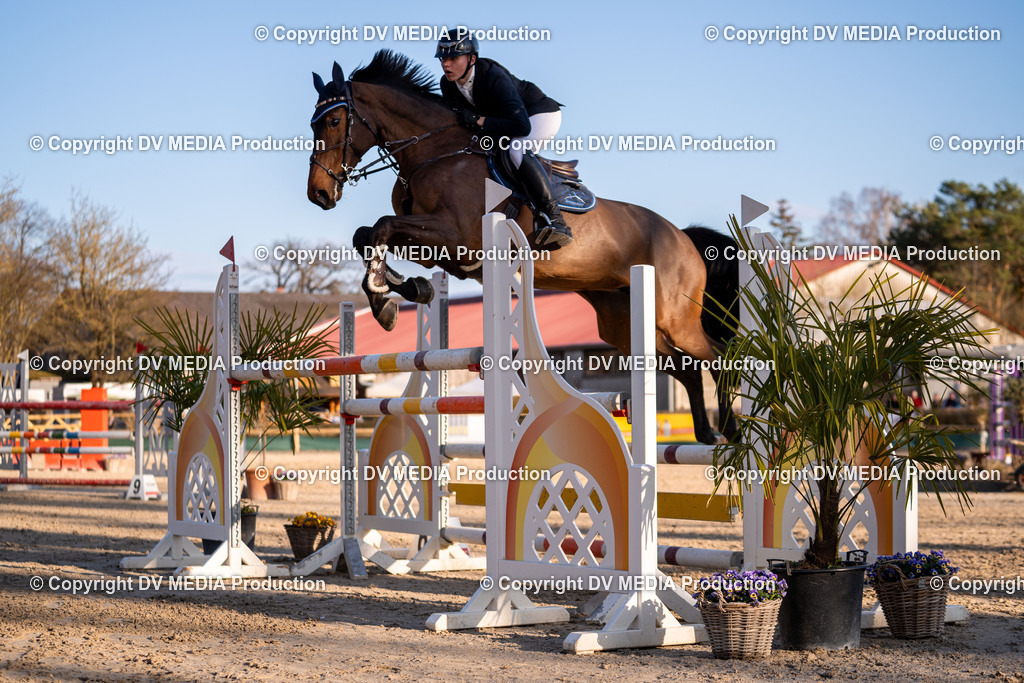 Kranichstein Tag 2-1091 | dv-media-shop - Realisiert mit Pictrs.com