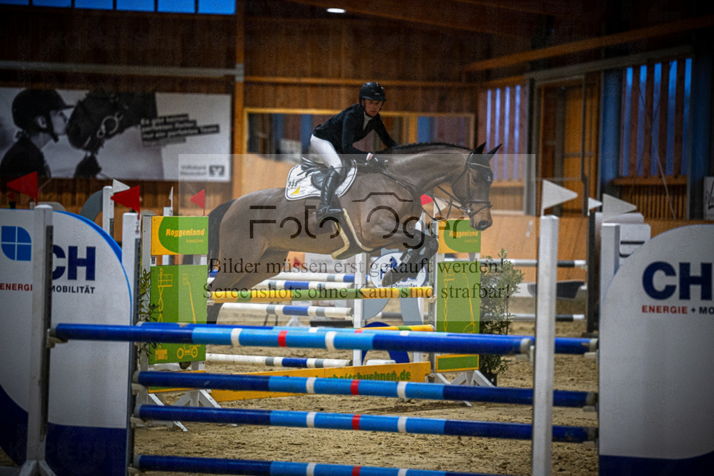 DOS_0673 | Entdecke hochwertige Reitturnierfotos von Foto Oger. Professionell, emotional und authentisch – jetzt Lieblingsmomente im Shop bestellen.Deutschlandweite Turnierfotografie. - Realisiert mit Pictrs.com