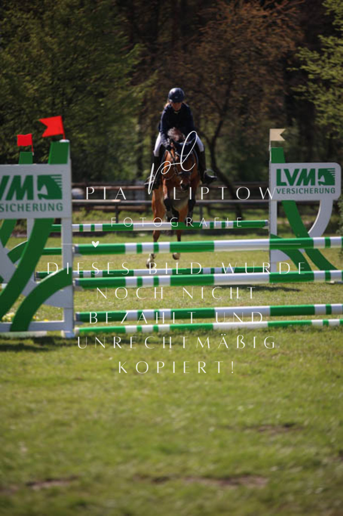 IMGT5642 | pl-fotografie