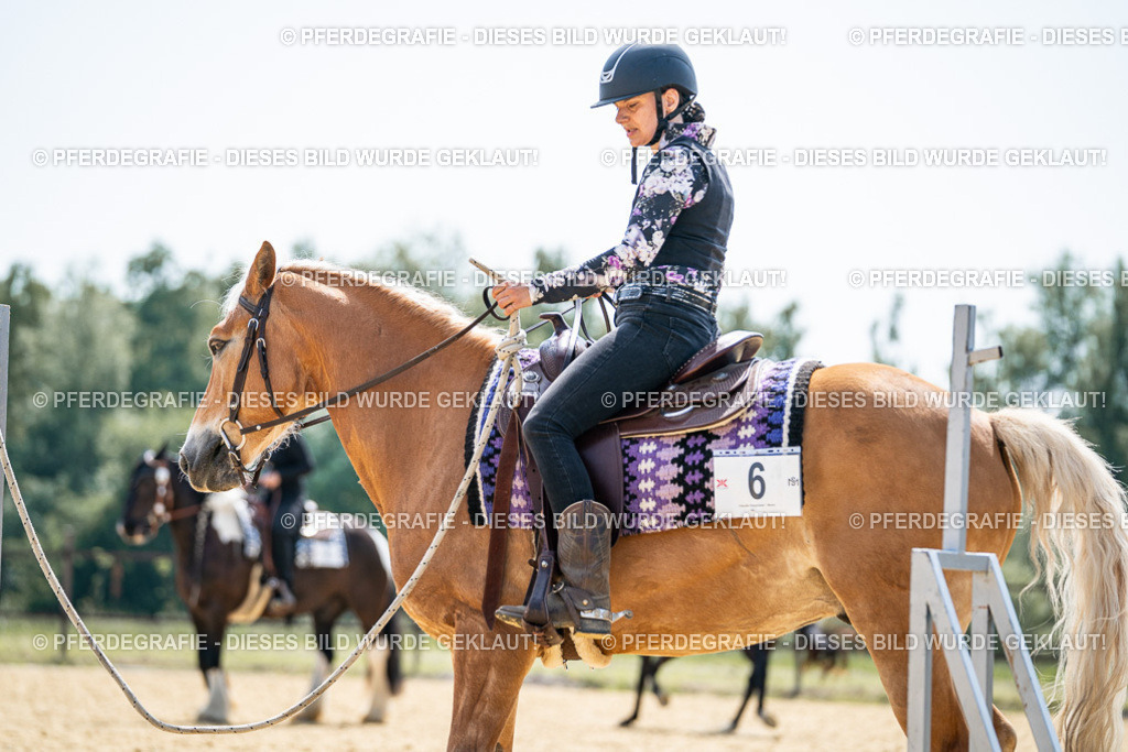 DSC00201 | Pferdegrafie