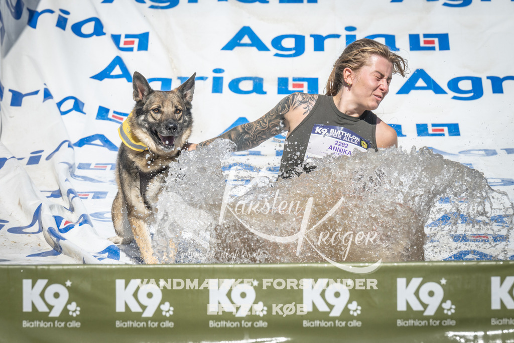 1456_ZZ96557 | kk-dogfotos