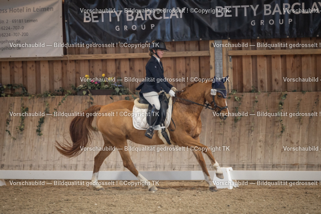 _D5A4480 | Emotionale Pferde- & People-Fotografie rund um Heidelberg, Leimen & Umgebung. Natürliche Fotos von Pferd, Mensch & Familie. Jetzt Termin sichern!