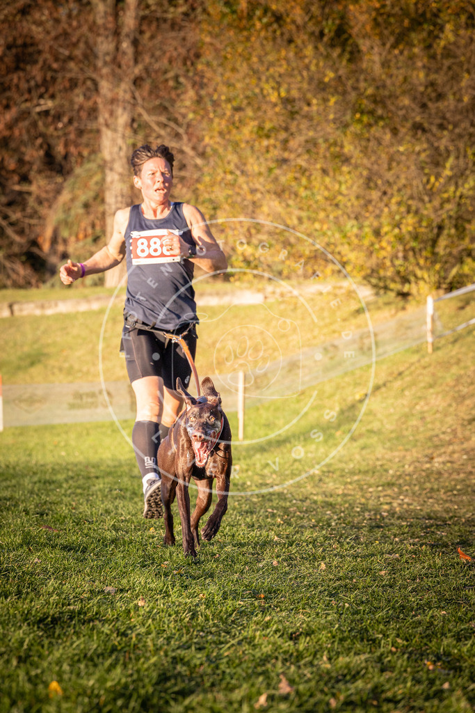 CaniXpix_0L8A1232 | Hundefotografie, Tierfotograf, Pfotenfotografie, Fotoshooting Hund, Hunde Portrait, Hundesport, Hundeportraits, Heideshooting, Hunde, Sportfotograf, Hundefotograf, Turnierhundsport, THS,  - Realisiert mit Pictrs.com