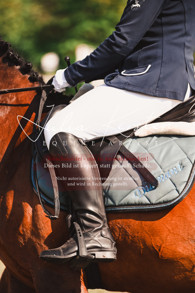 DSC_7396 | Pferde- und Turnierfotografie in Westsachsen. Pferdeportraits, Auftragszeichnungen und intuitive Kunst.