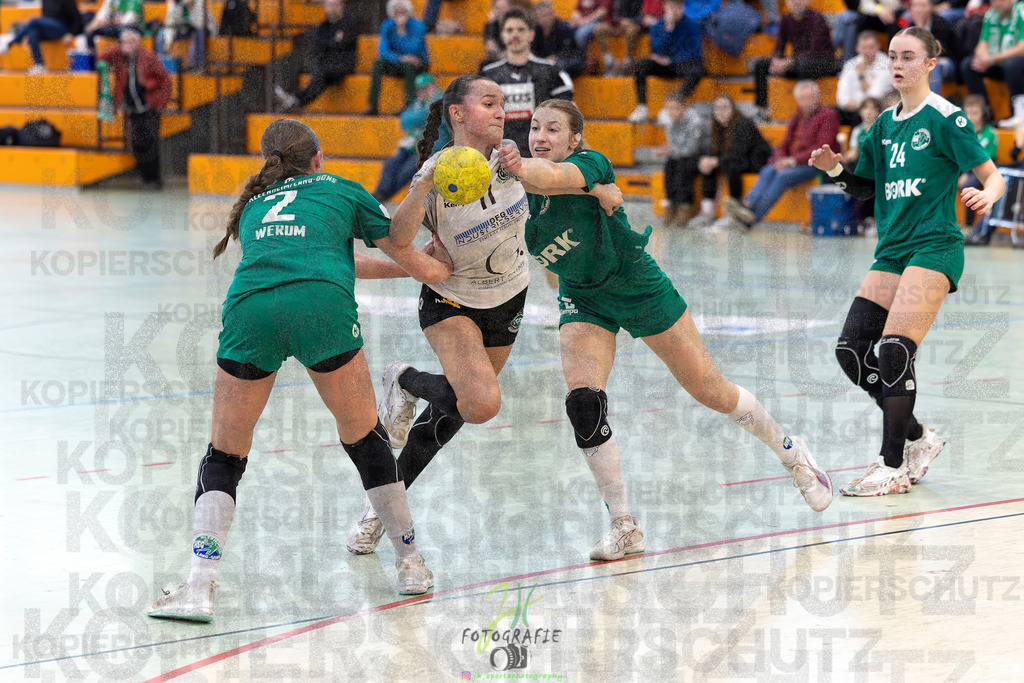 Jugendbundesliga wJA, Pokalrunde, HSG Kleenheim/Langgöns - Frisch Auf Göppingen | Jugendbundesliga wJA, Pokalrunde, HSG Kleenheim/Langgöns - Frisch Auf Göppingen am 28.02.2026 in Oberkleen (Weidig-Halle)Photo © 2026 - Jörg Heinrich - Realisiert mit Pictrs.com