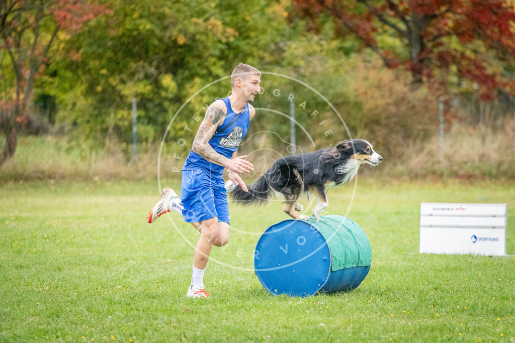 Pfotenfotografie_DV3A0869 | Hundefotografie, Tierfotograf, Pfotenfotografie, Fotoshooting Hund, Hunde Portrait, Hundesport, Hundeportraits, Heideshooting, Hunde, Sportfotograf, Hundefotograf, Turnierhundsport, THS,  - Realisiert mit Pictrs.com