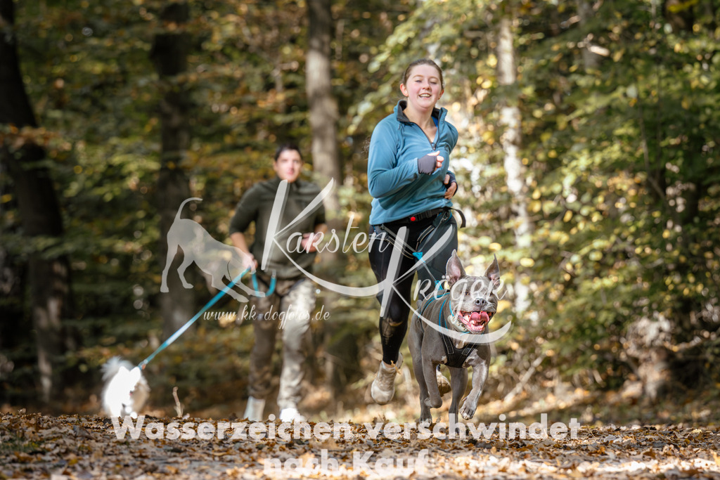 1247_ZZ96128 | kk-dogfotos