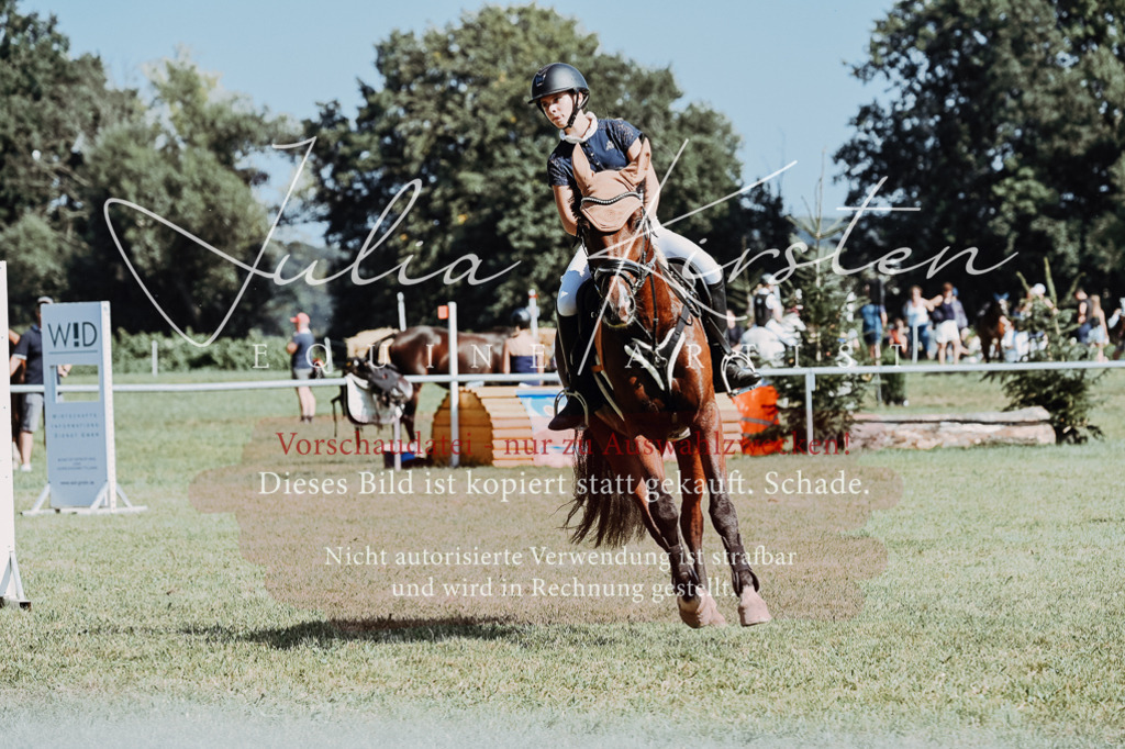 DSC_6562 | Pferde- und Turnierfotografie in Westsachsen. Pferdeportraits, Auftragszeichnungen und intuitive Kunst.