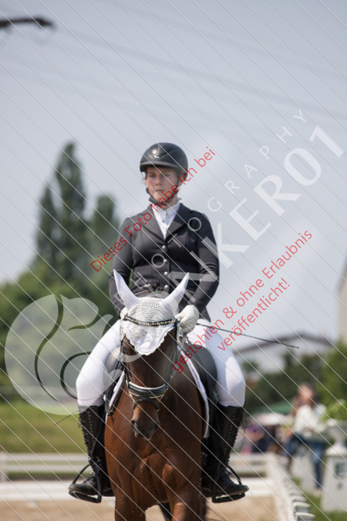 IMG_3681 | Sport-, Event- und Tierfotos in Profiqualität. Einfach auswählen, bestellen und herunterladen. Dein Moment – perfekt festgehalten.